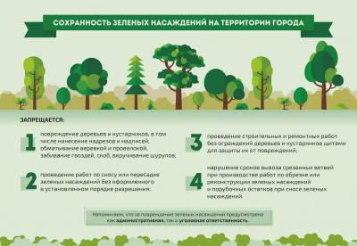 Правила содержания, использования, воспроизводства и охраны зеленых насаждений в Ялте.
